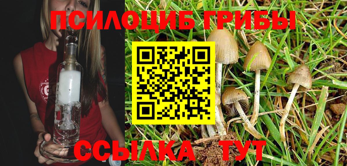 Галлюциногенные грибы ЛСД  Вход с VPN  Галлюциногенные грибы Magic Shrooms  Лениногорск 