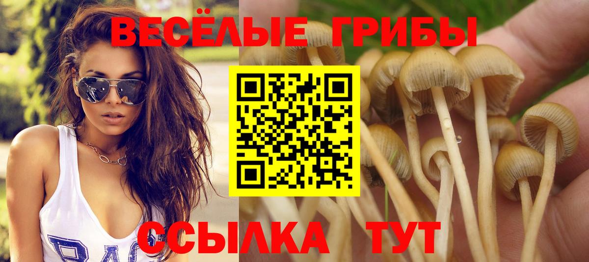 Галлюциногенные грибы MAGIC MUSHROOMS  Лениногорск 